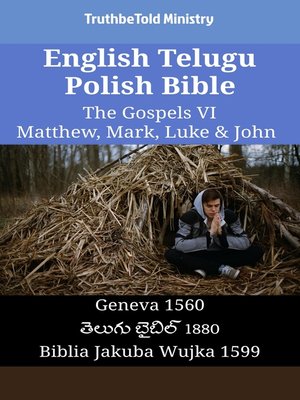 cover image of English Telugu Polish Bible--The Gospels VI--Matthew, Mark, Luke & John